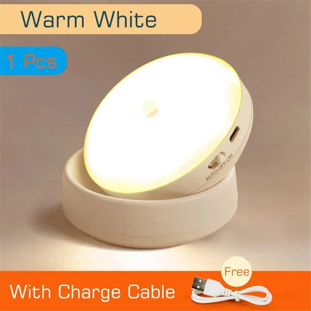 Liuyangmao USB Rechargeable Motion Sensor LED Night Light for Home