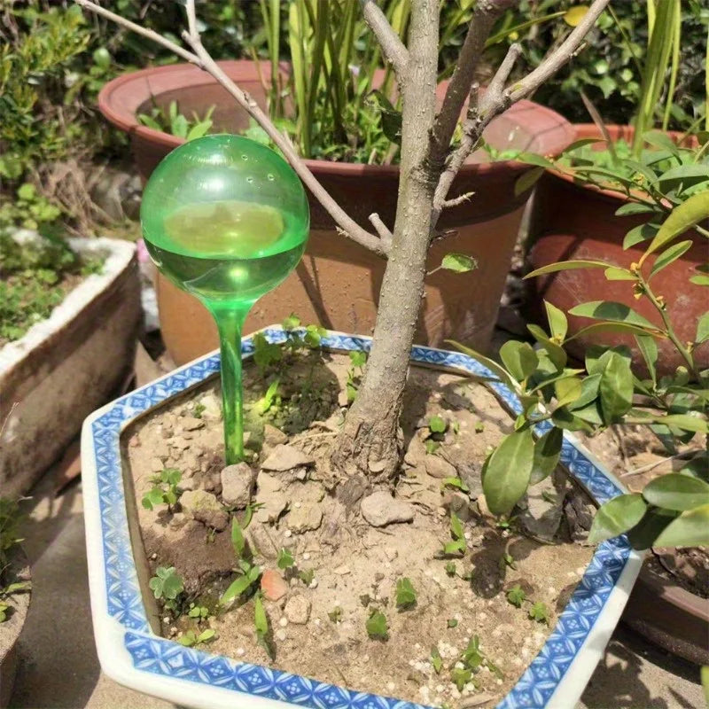 Automatic Plant Watering Globes for Indoor and Outdoor Gardens