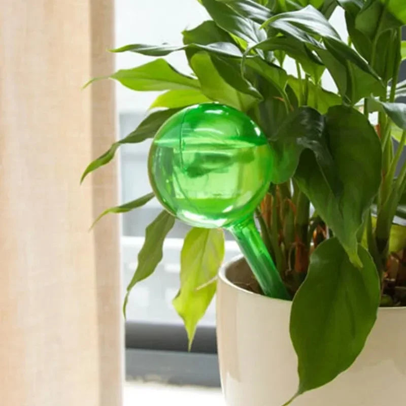 Automatic Plant Watering Globes for Indoor and Outdoor Gardens