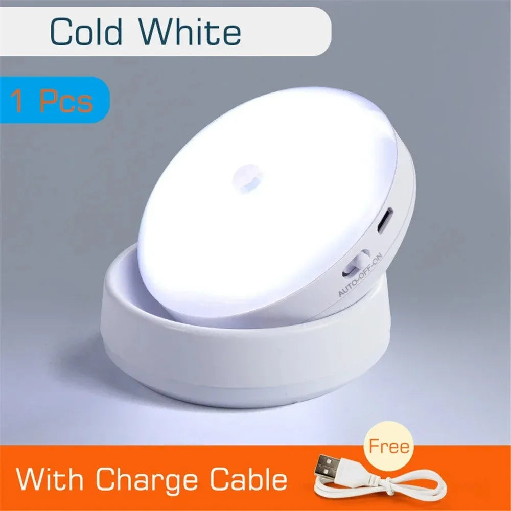 Liuyangmao USB Rechargeable Motion Sensor LED Night Light for Home